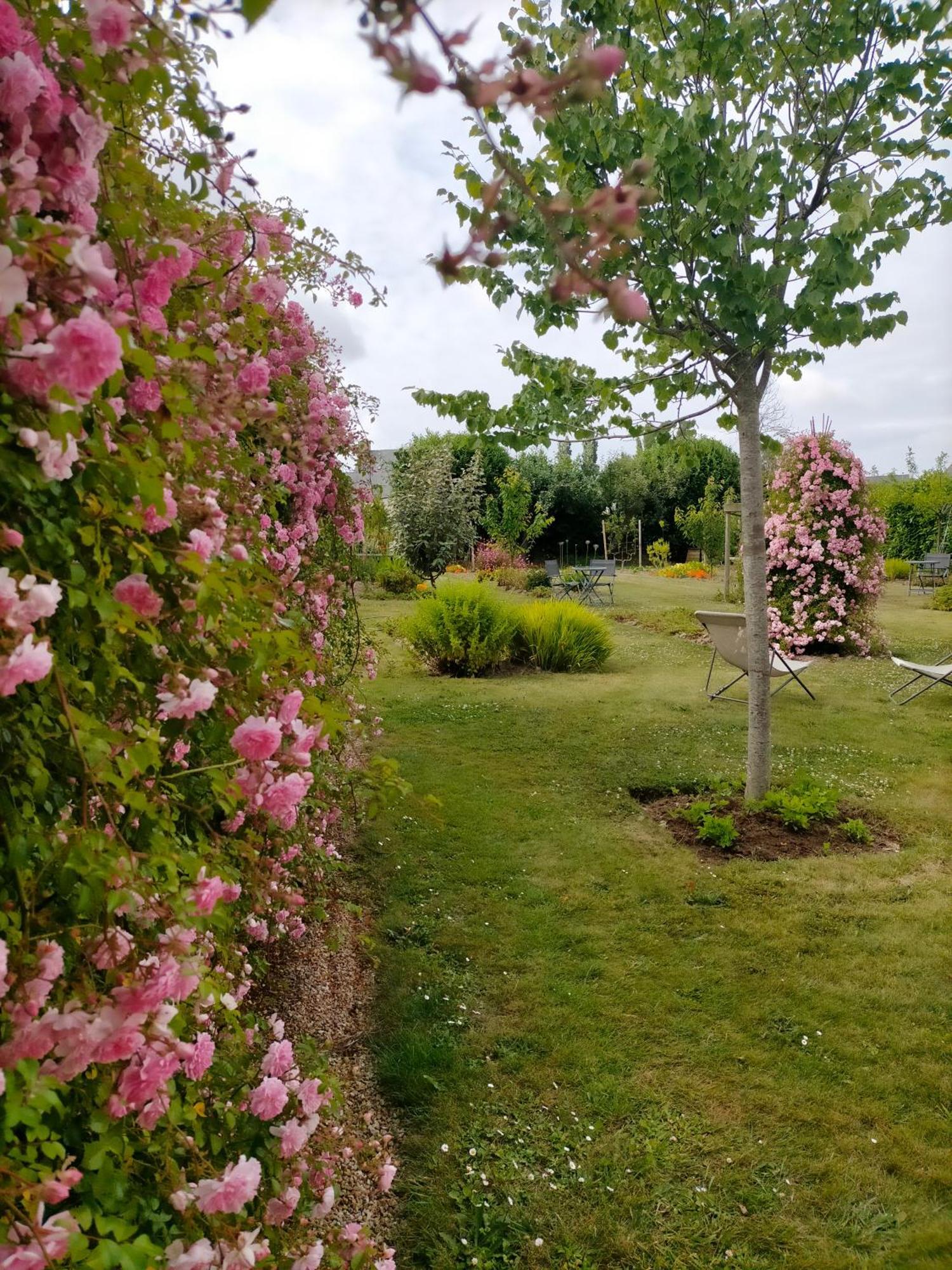 BnB La Néo Bretonne Minihy-Tréguier Exterior foto